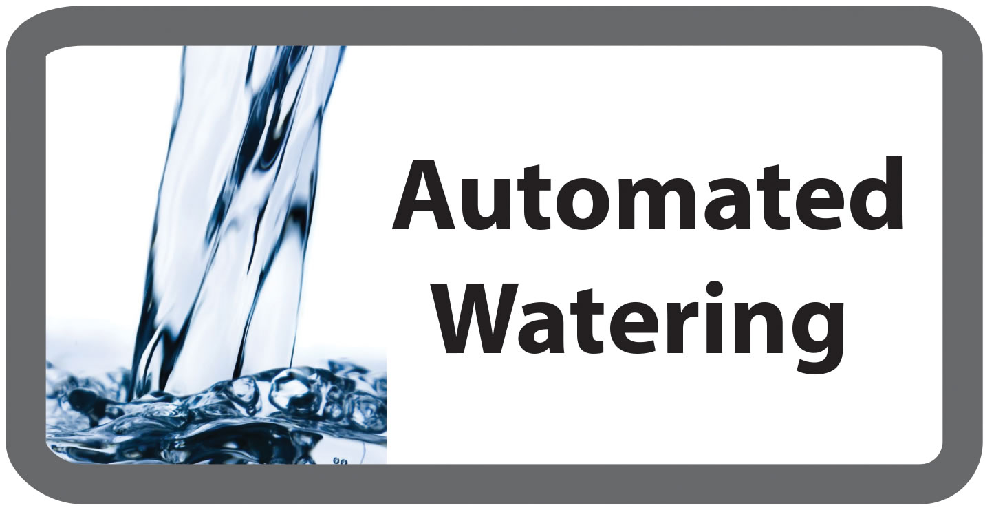 Automated Watering